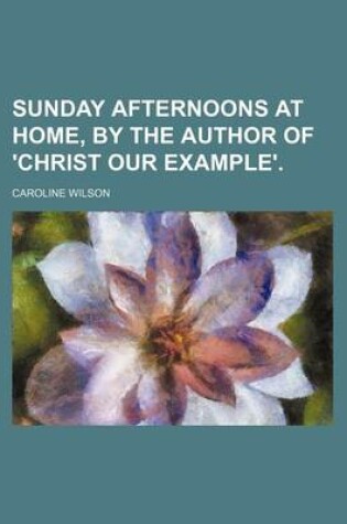 Cover of Sunday Afternoons at Home, by the Author of 'Christ Our Example'.