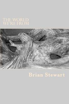 Book cover for The World We're From