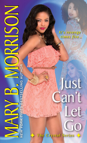 Book cover for Just Can't Let Go