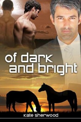 Cover of Of Dark and Bright