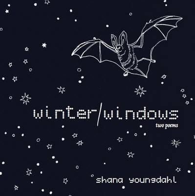 Book cover for Winter/windows