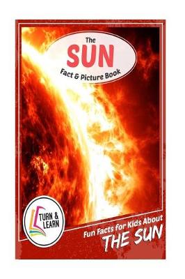Book cover for The Sun Fact and Picture Book