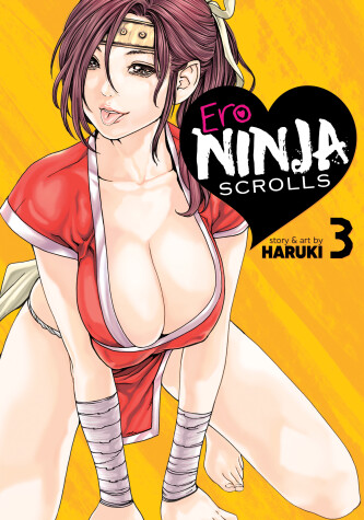 Book cover for Ero Ninja Scrolls Vol. 3