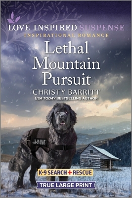Book cover for Lethal Mountain Pursuit