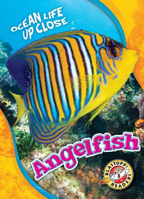 Cover of Angelfish