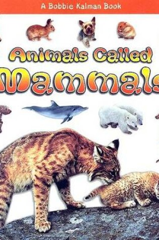 Cover of Animals Called Mammals