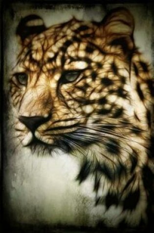 Cover of Cheetah