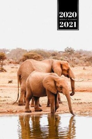 Cover of Elephant Mammoth Week Planner Weekly Organizer Calendar 2020 / 2021 - Drinking at the Waterhole