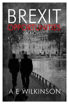 Book cover for Brexit Opportunities