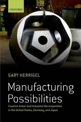 Book cover for Manufacturing Possibilities