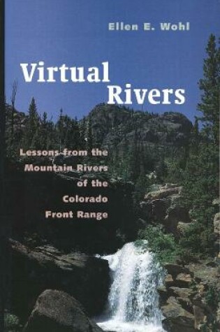 Cover of Virtual Rivers