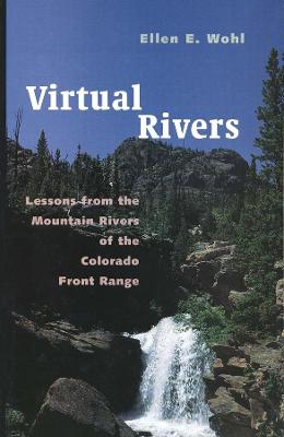 Book cover for Virtual Rivers