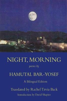 Book cover for Night, Morning