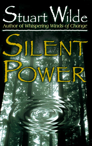 Book cover for Silent Power