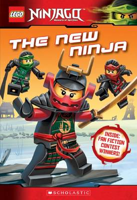 Book cover for #9  New Ninja