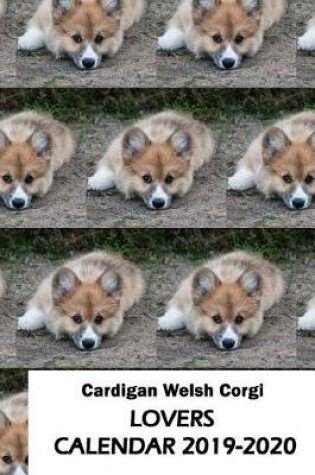 Cover of Cardigan Welsh Corgi Lovers Calendar 2019-2020