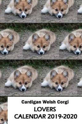 Book cover for Cardigan Welsh Corgi Lovers Calendar 2019-2020