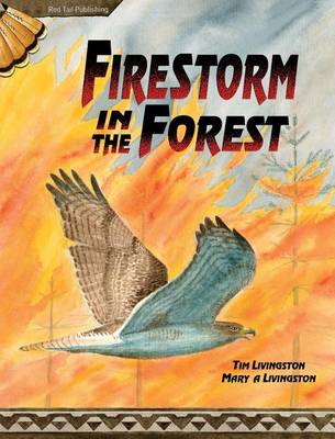 Book cover for Firestorm in the Forest