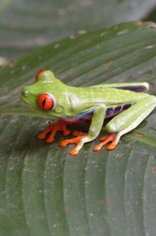 Cover of Tiny Green Tree Frog Journal