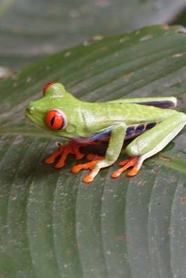 Book cover for Tiny Green Tree Frog Journal