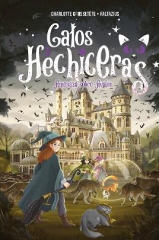 Cover of Gatos Y Hechiceras - Vol II