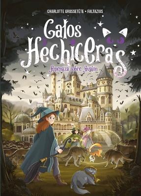 Book cover for Gatos Y Hechiceras - Vol II