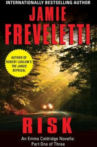 Cover of Risk