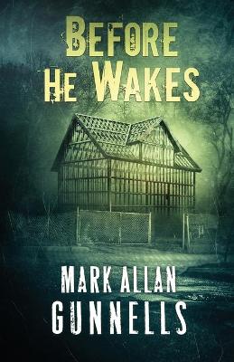 Book cover for Before He Wakes