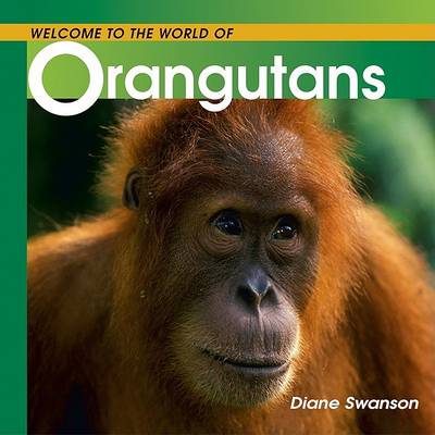 Book cover for Welcome to the Whole World of Orangutans