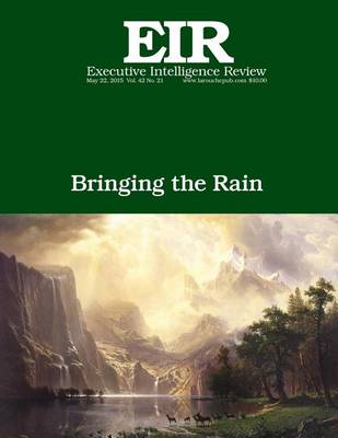 Book cover for Bringing the Rain