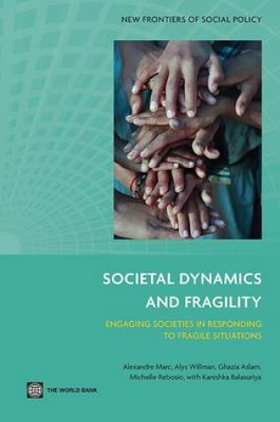 Cover of Societal Dynamics and Fragility