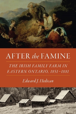 Book cover for After the Famine