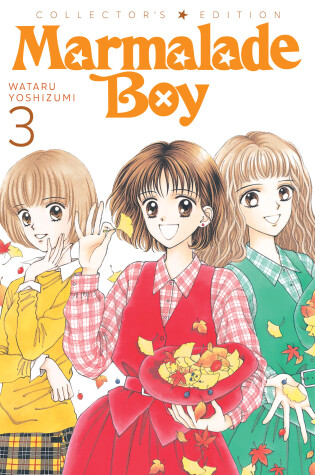 Cover of Marmalade Boy: Collector's Edition 3