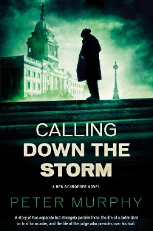 Cover of Calling Down the Storm