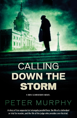 Book cover for Calling Down the Storm
