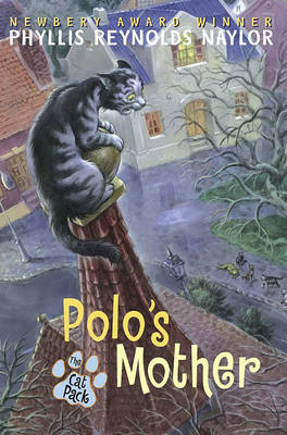 Book cover for Polo's Mother