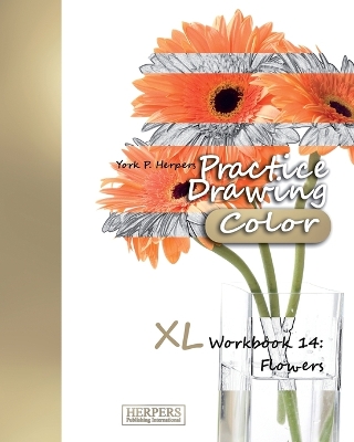 Book cover for Practice Drawing [Color] - XL Workbook 14