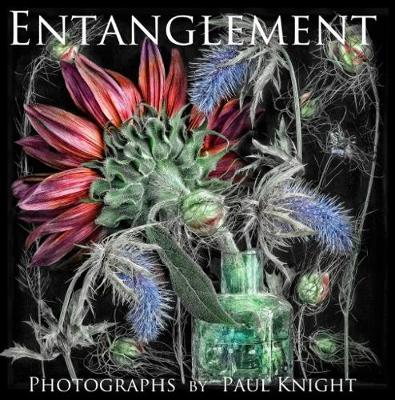 Book cover for Entanglement