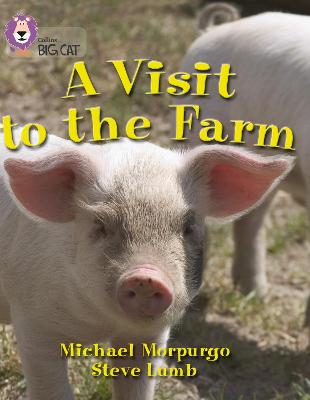 Book cover for A Visit to the Farm