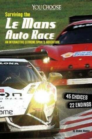 Cover of Surviving the Le Mans Auto Race