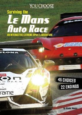 Book cover for Surviving the Le Mans Auto Race