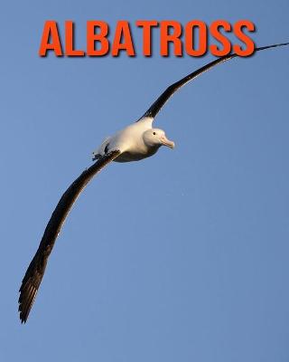 Book cover for Albatross