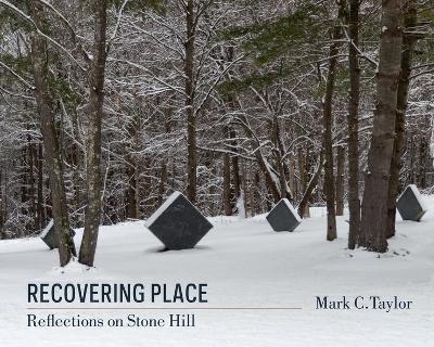 Book cover for Recovering Place