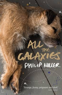 Book cover for All the Galaxies