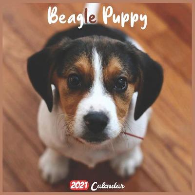 Book cover for Beagle Puppy 2021 Calendar