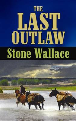 Book cover for The Last Outlaw