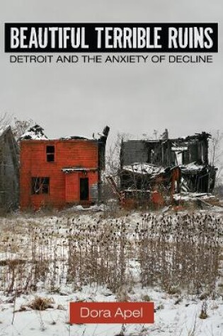 Cover of Beautiful Terrible Ruins