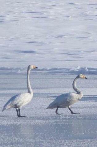 Cover of White Swans on a Snowy Winter Day Nature Journal