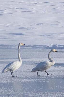 Book cover for White Swans on a Snowy Winter Day Nature Journal