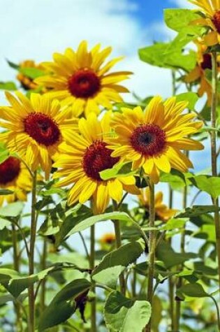 Cover of Field of Sunflowers in Bloom Journal